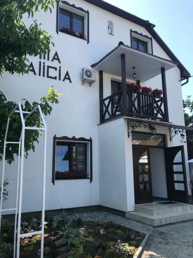 Villa Galicia Berehove  Eksteriør bilde